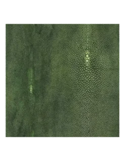 Papier Peint Vinyle Précieux Vert, Jean Paul Gaultier