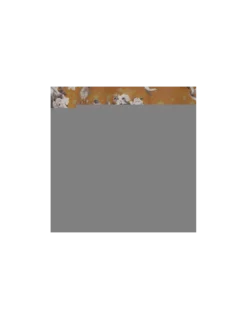 Tissu Angelots Terre Jean Paul Gaultier